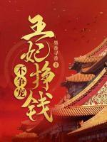 白久久轩辕瑾王妃挣钱不争宠
