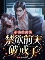 叶晚陆庭琛免费全文阅读