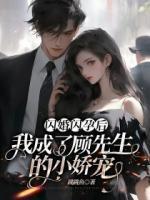 顾心舟全文免费阅读书名