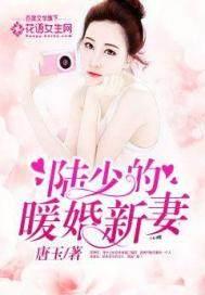 陆少的暖婚新妻全文免费阅读缓存
