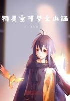 精灵宝可梦之山巅之上