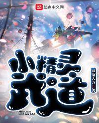 小精灵武道女主