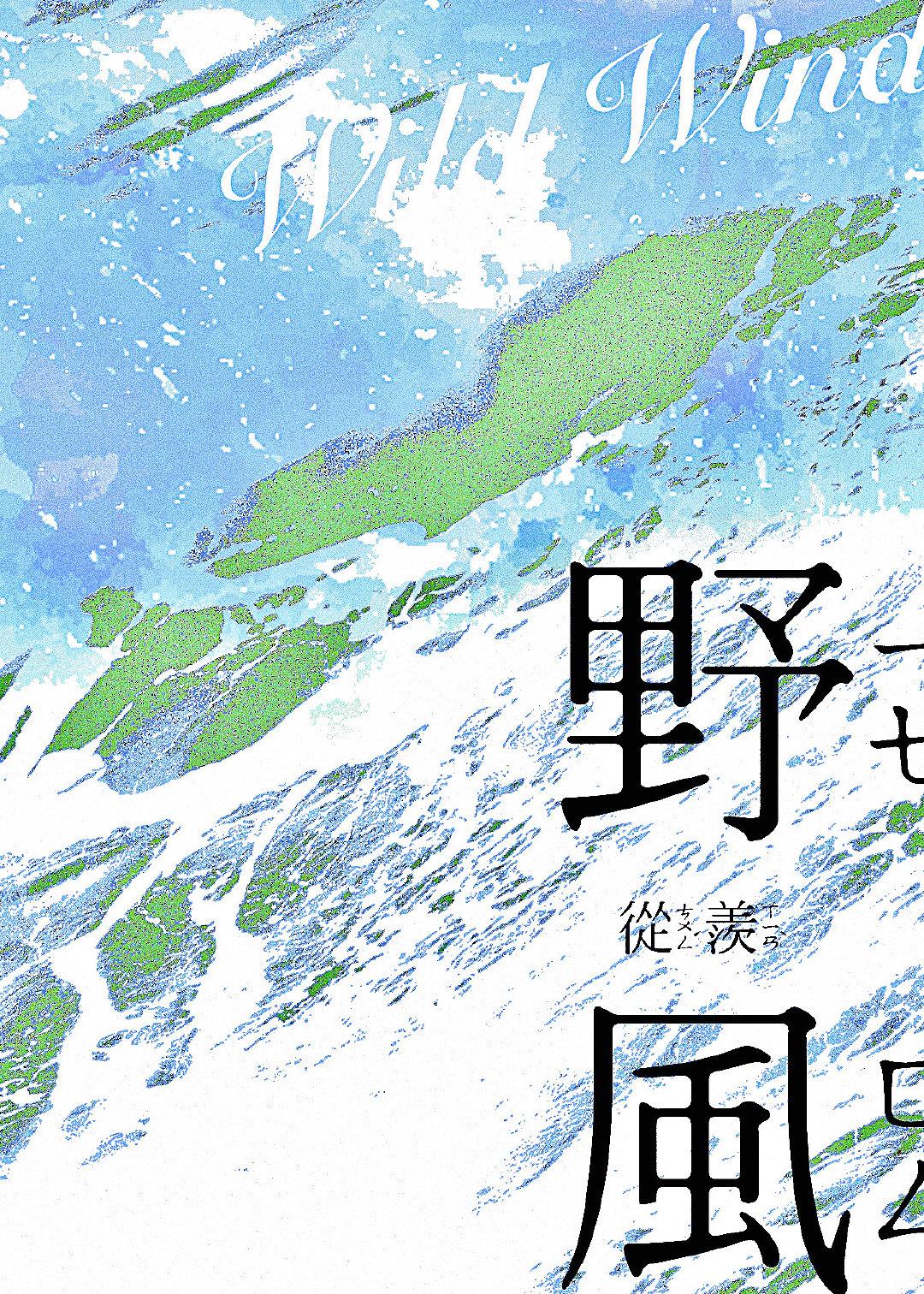野风与盛夏免费阅读