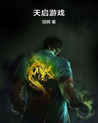 张奕重生天启游戏