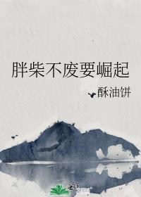 胖柴不废要崛起晋江
