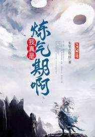 我真是练气期啊完结了吗