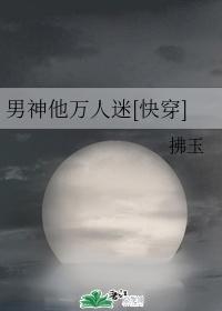 万人迷男神培养系统
