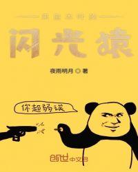 来自木叶的闪光猿TXT百度资源