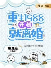 重生1988开局就离婚免费阅读