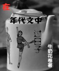 在年代文中过日子无防盗