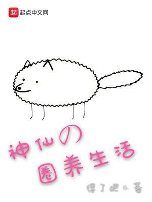 合作伙伴范围