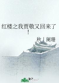 红楼之我是贾赦他哥