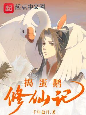 捣蛋鹅全攻略