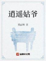 逍遥姑爷娶了几个老婆