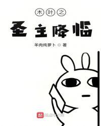 木叶之圣杯系统