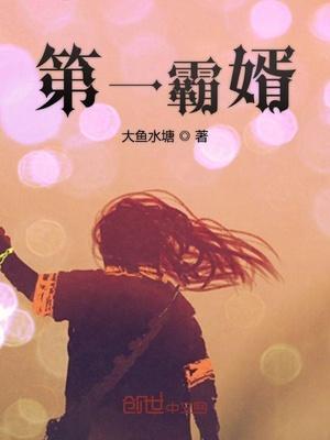 第一霸婿电视剧