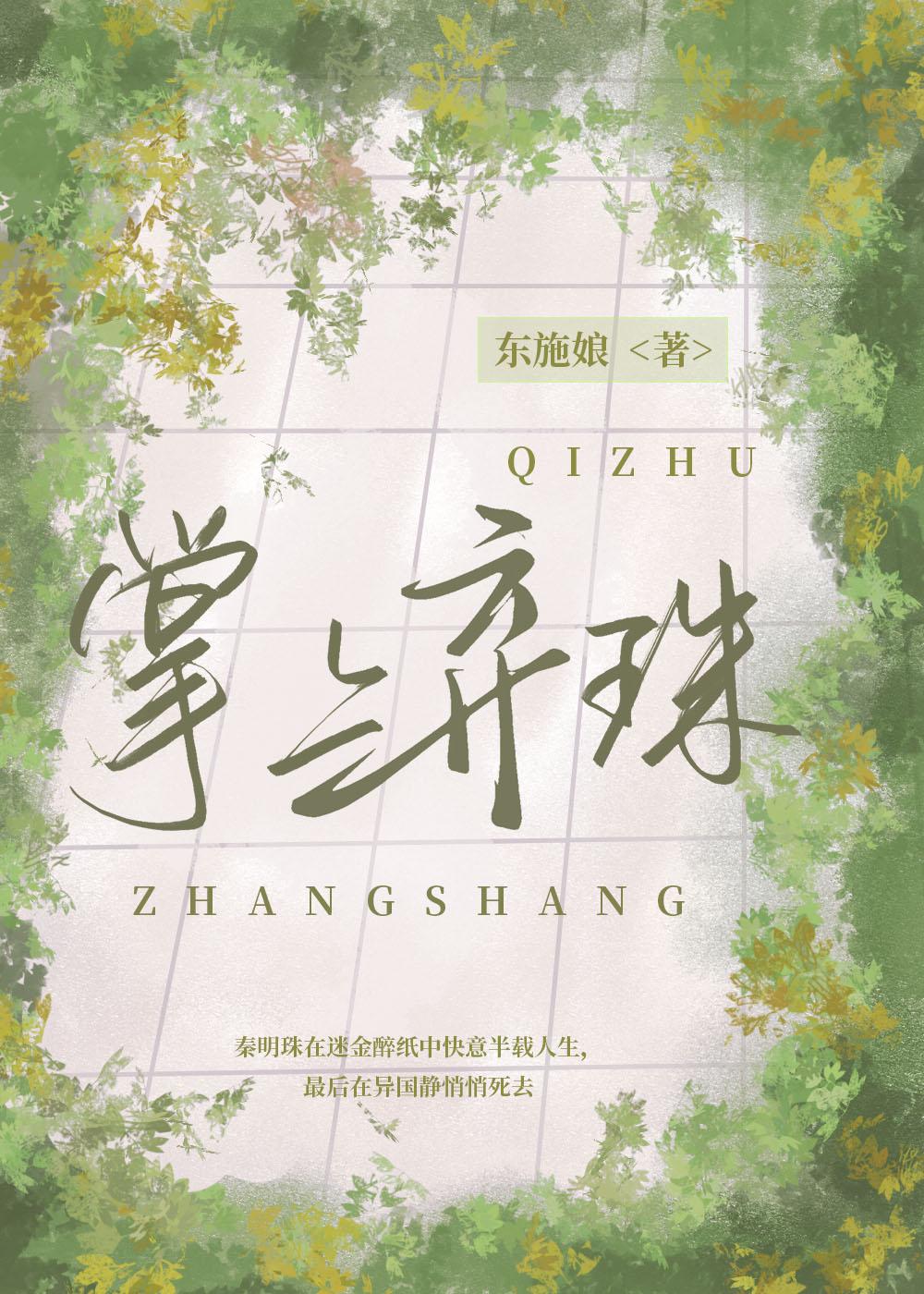 掌上弃珠简介
