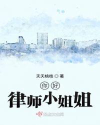 你好柯律师