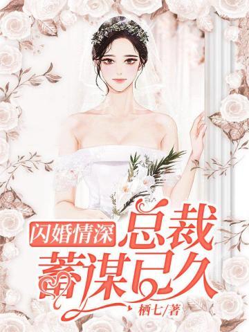 闪婚情深总裁蓄谋已久大结局