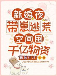 空间囤千亿物资笔趣阁