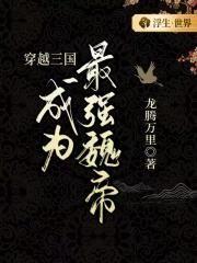 穿越三国之我是魏延