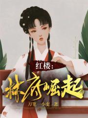 红楼林府崛起作者是谁