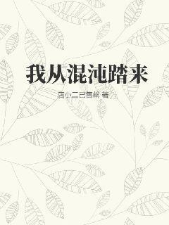 从混沌体开始免费