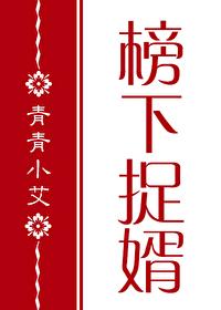 红楼清穿榜下捉婿轻松