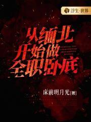 从缅甸到全世界第二集