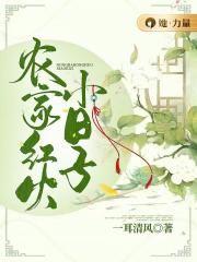 农家红火小日子TXT免费