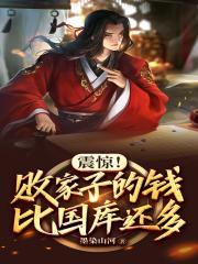 震惊败家子的私房钱比国库还多笔趣阁