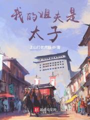 我的姐夫是太子TXT无错版