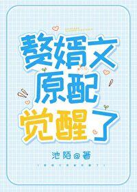 作精在赘婿文爆红了百度