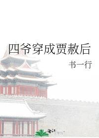四爷穿成贾赦后辰木离火