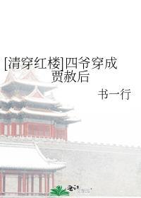 清穿红楼四爷穿成贾赦后