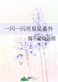 一闪一闪亮星星番外续写