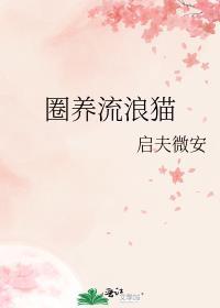 圈养流浪猫犯法吗