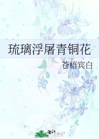 琉璃浮屠青铜花 苍梧宾白