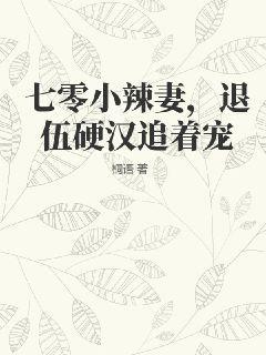 重生七零后逆袭小辣媳