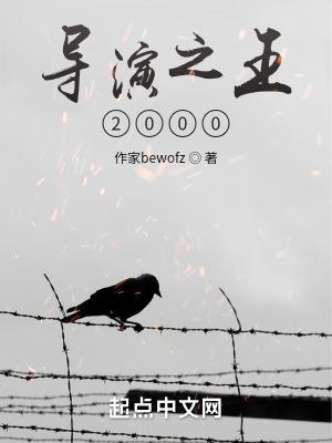 导演之王2000免费TXT