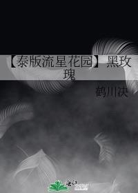 泰国版流星花园主题曲