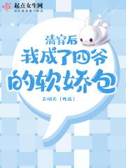 清穿后我成了四爷的老婆