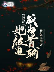 穿越后她被迫成为首辅txt