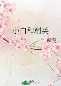 顾漫的小白和精英