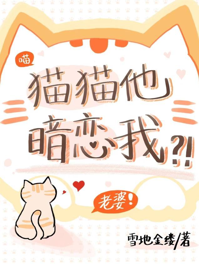 猫咪喜欢你的表现形式
