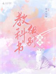 教材级别是什么意思