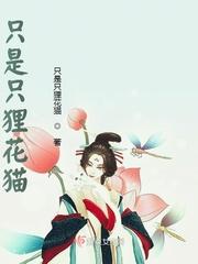 一只狸花猫的电影