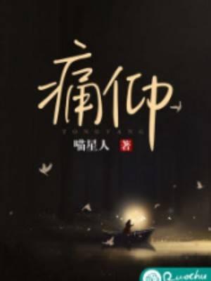 痛仰乐队2023年巡演