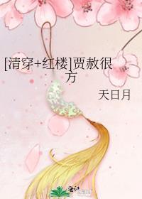 清穿红楼贾赦很方天