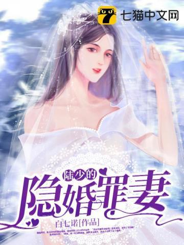 陆少的隐婚夫人
